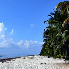 Traumurlaub bei Traumwetter am Strand des Indischen Ozeans in Kenia